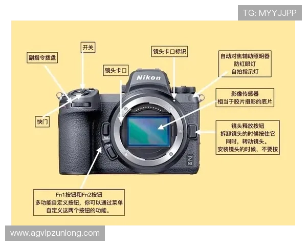 新手必看：Z6下载登录流程详细介绍及注意事项